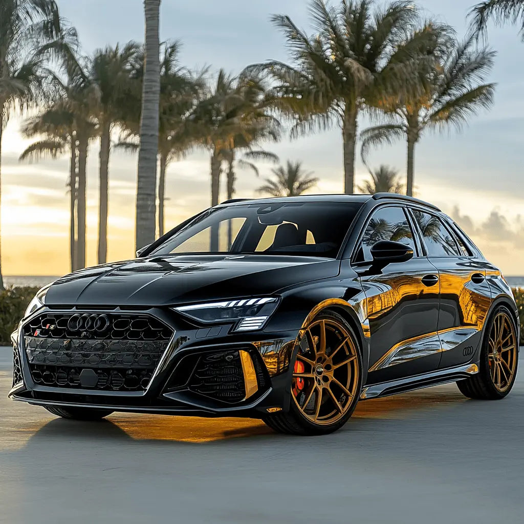 RS 3 8V (2015-2020) - AutoWin