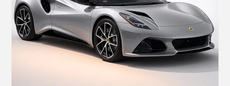 lotus floor mats
